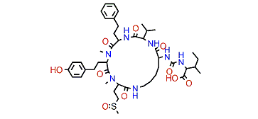 Anabaenopeptin NP 883